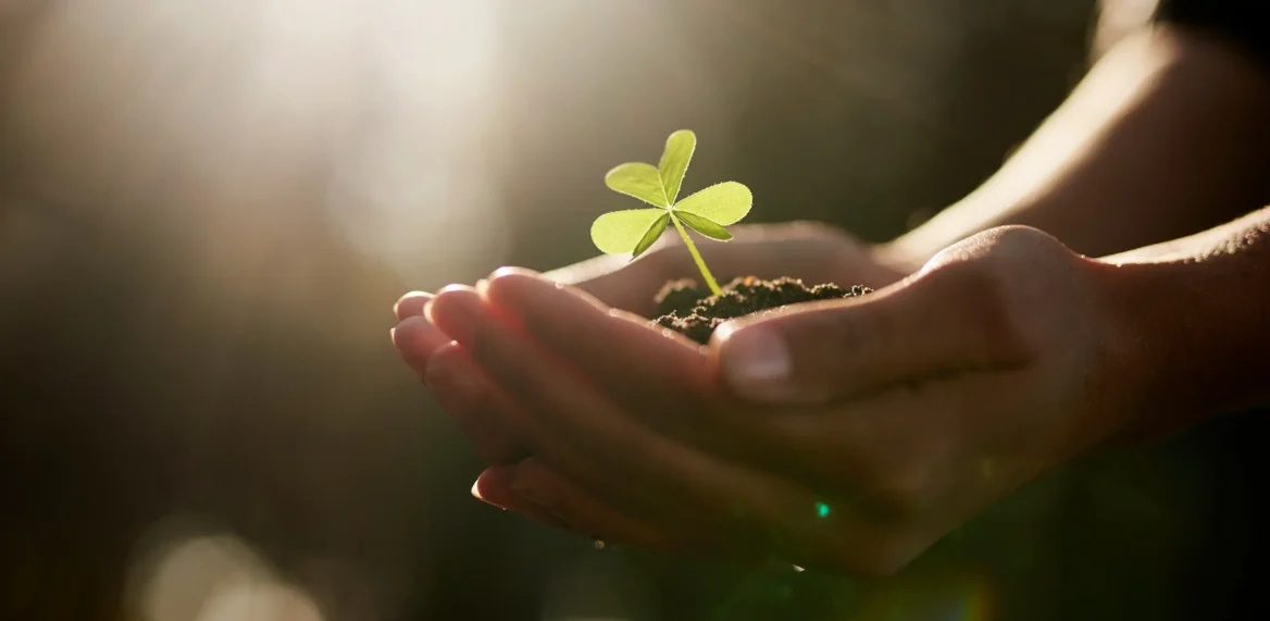 Nurturing hands holding a seedling